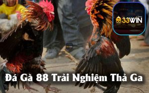 Đá Gà 88 - Trải Nghiệm Cá Cược Thú Vị Với Cập Nhật Nhanh Nhất