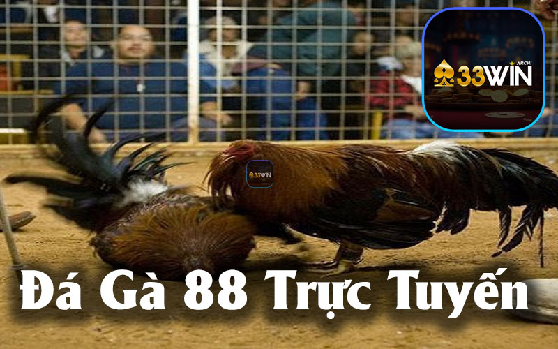 Đá Gà 88 - Nền tảng cá cược trực tuyến